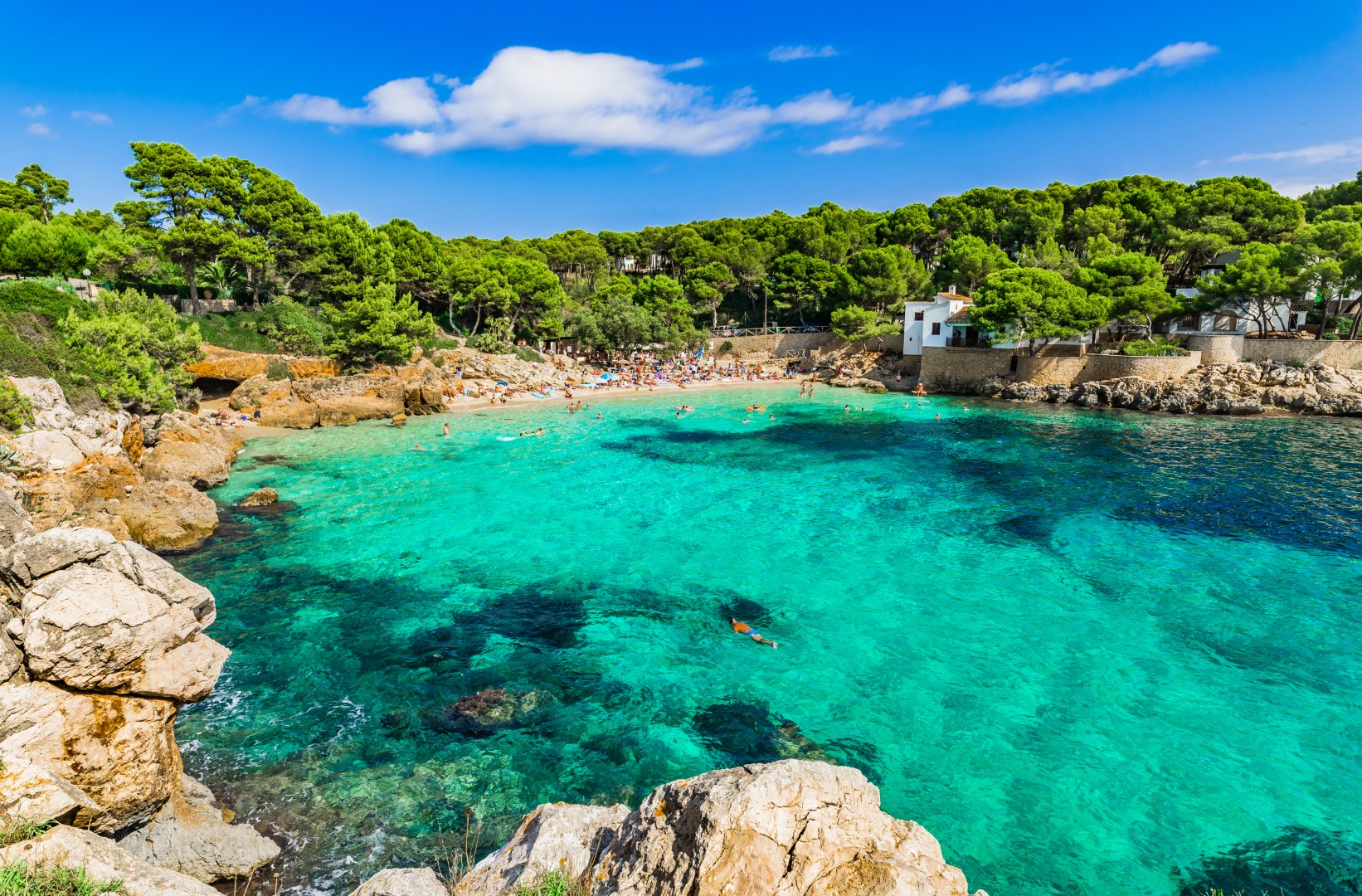 Cala Ratjada A Garden Of Eden In The Mediterranean PortBlue Hotels Group Cala Ratjada A Garden Of Eden In The Mediterranean PortBlue Hotels Group